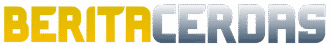 Berita Cerdas – Informasi Tajam & Aktual