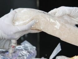 Ketum BKN Apresiasi BNN, 5 Provinsi Terbebas dari Peredaran Narkoba!