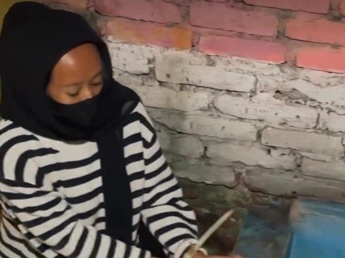 Ngeri! Bayi Tewas Terpotong 3 Bagian di Ngarai Sianok, Ternyata Jadi Korban Ibunya Sendiri