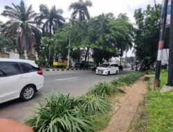 Petaka di Pondok Indah: Pohon Tumbang Hancurkan Lexus, Tragedi Menewaskan Pengemudi