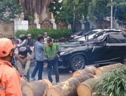 **Polisi Tertutup Soal Penyebab Kematian Pengemudi Lexus Tertimpa Pohon di Pondok Indah**