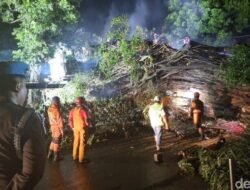 **Stasiun Bogor Terancam, Penanganan Pohon Tumbang Diperkirakan Selesai Pagi Ini**