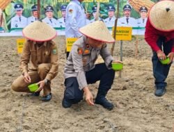 Transformasi Lahan 10 Hektare, Polres Inhu Berkontribusi pada Dukung Swasembada Pangan dengan Tanam Jagung