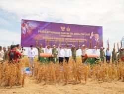 Dukung Swasembada Pangan, Pemprov Lampung-TNI Panen Kedelai, Kebanggaan Petani