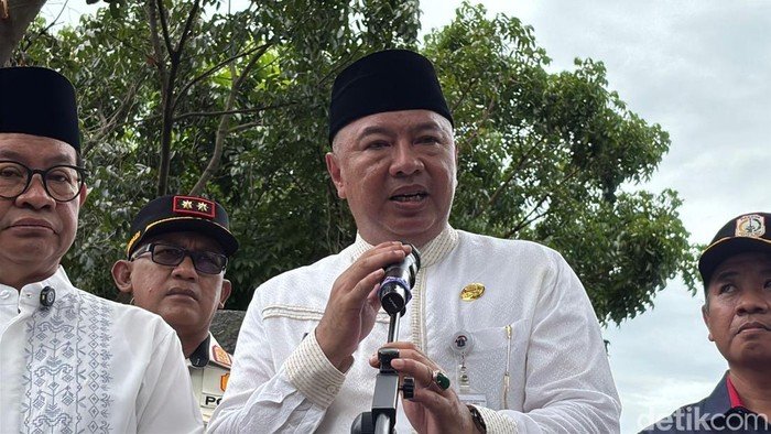 Dari 62.161 Pohon Dipangkas, Kenapa Marak Pohon Tumbang?