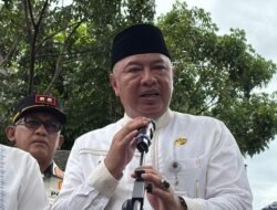 Marak Pohon Tumbang, 62.161 Pohon Dipangkas, Apa Sebabnya?