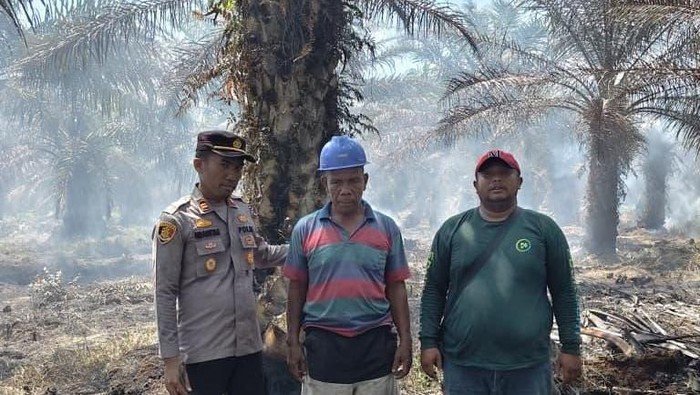 Tragedi 7 Ha Lahan di Rohil: Puntung Rokok Picu Kebakaran, Pelaku Diringkus