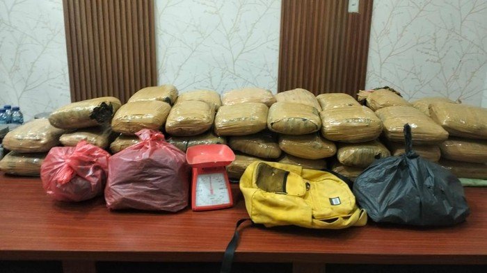 47 Kg Ganja Tersangkut, Bareskrim Gagalkan Jaringan Narkoba Sumut dengan Operasi Cerdas!