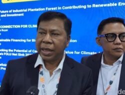 1.700 Hakim Bersertifikat, Jawaban MA atas Krisis Lingkungan Hidup?