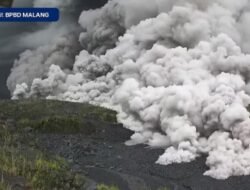 Dunia Hari Ini: Gunung Semeru Meletus, Australia Peringatkan Penerbangan, Bumi Berontak dengan Gempuran Api!