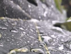 Cuaca Ekstrim Menyapa Jakarta, Sedia Payung! BMKG Prediksi Hujan Lebat Siang Ini!