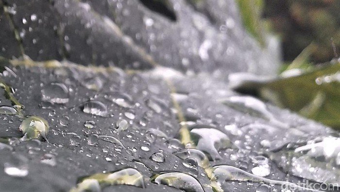 Cuaca Ekstrim Menyapa Jakarta, Sedia Payung! BMKG Prediksi Hujan Lebat Siang Ini!