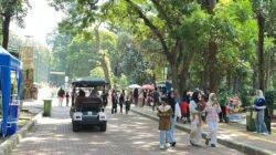 Momen Libur Natal, Ragunan Jaksel Dipadati Pengunjung Pagi Ini: Transformasi Hutan Kota Menjadi Magnet Liburan