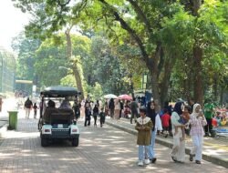 Momen Libur Natal, Ragunan Jaksel Dipadati Pengunjung Pagi Ini: Transformasi Hutan Kota Menjadi Magnet Liburan