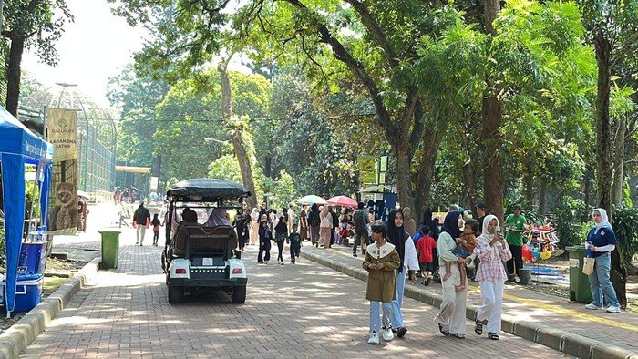 Momen Libur Natal, Ragunan Jaksel Dipadati Pengunjung Pagi Ini: Transformasi Hutan Kota Menjadi Magnet Liburan