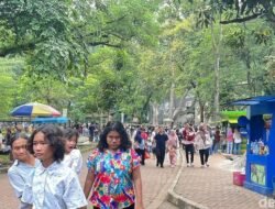 **Liburan Natal 2025 Membuat TM Ragunan Digerus 50.211 Pengunjung!**