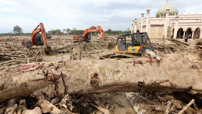 Darurat Bencana Sumatera: 1.135 Tewas, 489 Ribu Warga Still Evacuated