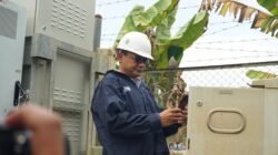 Setelah Bencana, Telkomsel Klaim 90% Jaringan di Aceh Pulih