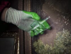 Polisi Ungkap Kondisi Siswa SMK Korban Penyiraman Air Keras di Jakpus: Cedera Mata dan Proses Perawatan