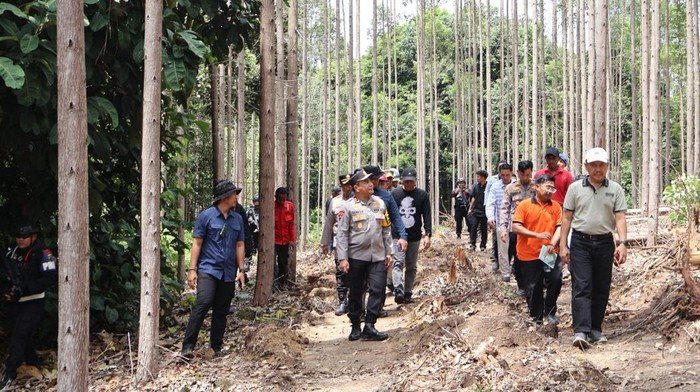 7 Langkah Pemerintah Tangkal Tragedi Gajah Tanpa Gading, Bongkar Indikasi Perburuan Ilegal