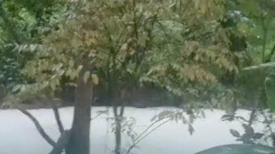 Dari Api ke Bencana: Buntut Panjang Kebakaran Pabrik Pestisida di Tangsel yang Mengguncang Negeri