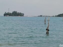 Banjir Rob Siap Menyapu Pesisir RI! Waspada, 12-19 Februari