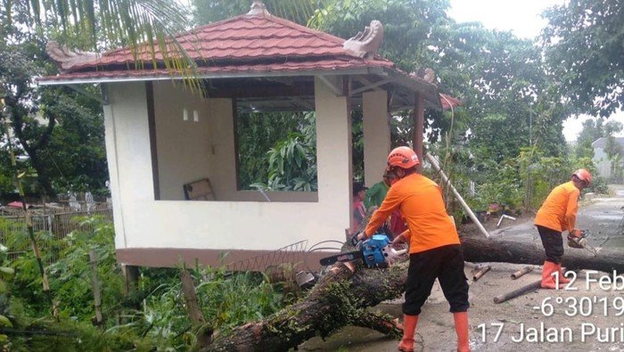 Hujan Angin Membuat Pohon Tumbang, 3 Rumah di Cibinong Bogor Terkena dampak!