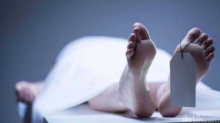 Truk Kontainer Timpa Mobil di Karawang, 3 Orang Tewas: Bencana Lalu Lintas yang Menggetarkan