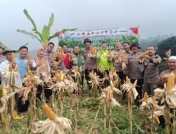 Dukung Ketahanan Pangan, Polisi Panen 1 Ton Jagung di Bogor – Update 3