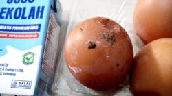 “Kontroversi Telur MBG: Siswa SD Tulungagung Temukan Kotoran Ayam, Heboh!”