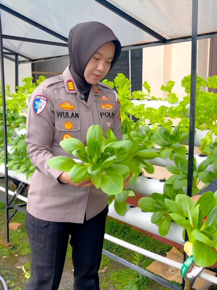 Dari Kantor ke Kebun, Polantas Riau Hadirkan Green Policing Inovatif!