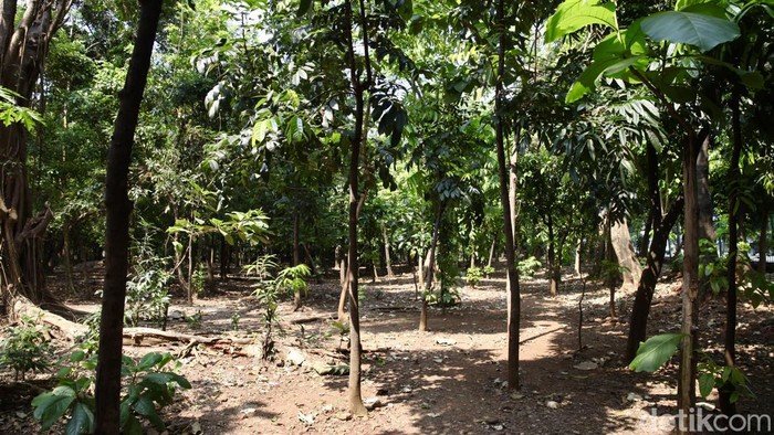 Taman Kota Cawang Jadi Lokasi