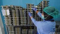 47 SPPG Terpaksa Tutup di Ramadan, Menu MBG Jadi Penyebabnya!