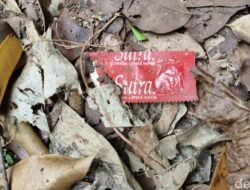 Taman Kota Cawang Terungkap Jadi Lokasi Pelanggaran Moral