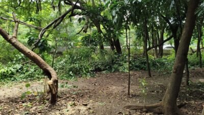 “Dugaan Sarang Asusila di Taman Kota Cawang, Pengamanan Diperketat untuk Cegah Kriminalitas”