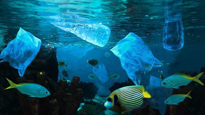 BRIN Menemukan Mikroplastik hingga Kedalaman 2.450 Meter di Laut RI: Bumi Sedang Dihancurkan dari Dalam