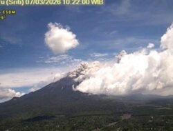 Gunung Semeru Meletus, Awan Panas dan Guguran Bermunculan Hari Ini