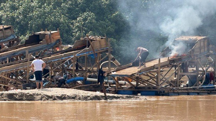 Dari Kuansing ke Hukuman: PETI Tak Lagi Aman dari Musnah