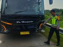 Bus Tabrak 5 Mobil Pemudik di Tol Batang, Tak Ada Korban Jiwa: Mitos atau Fakta?