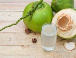 “Gresik Tutup Tempat Bagikan Kelapa Utuh Berujung 9 SPPG, Apa Alasannya?”