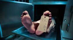 Diduga Sakit, Pemudik dari Cianjur Kandas di Jalan Cileungsi, Ini Kronologinya