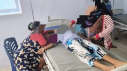 Kasus Keracunan Makanan yang Mengerikan, Pemda Diminta Blokir Penjualan Daging Anjing-Kucing